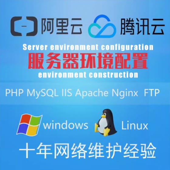 Server environment configuration, environment construction, technical service fees